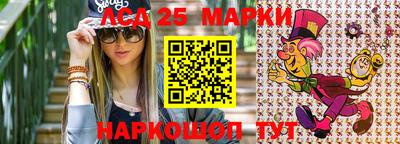 гашик Кандалакша