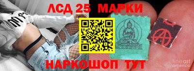 гашик Кандалакша