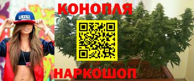гашик Кандалакша
