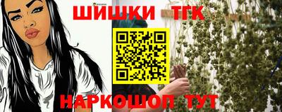 гашик Кандалакша