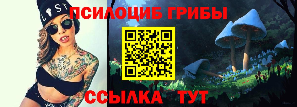 Калач-на-Дону  Псилоцибиновые грибы Psilocybe  Вход с VPN 